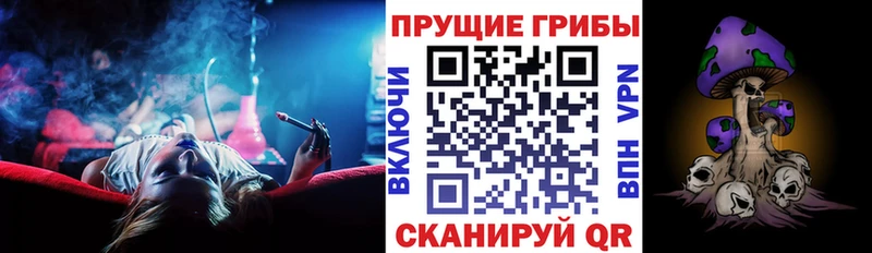 Галлюциногенные грибы Cubensis Тамбов