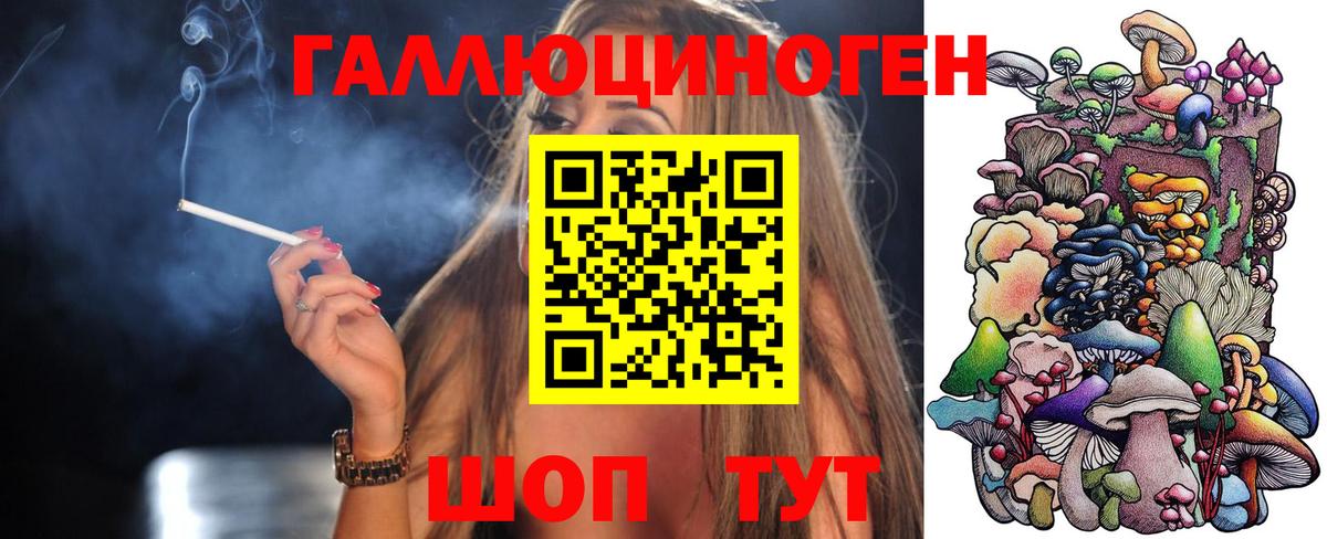 Галлюциногенные грибы Cubensis Тамбов
